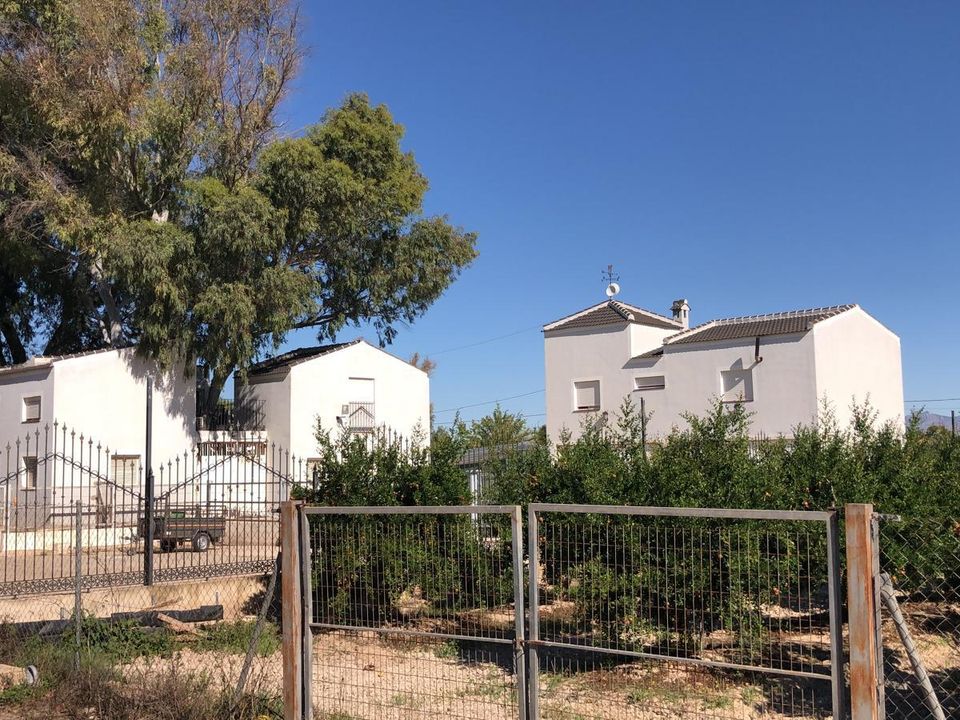 Estudi a Dolores, Alicante - foto 3